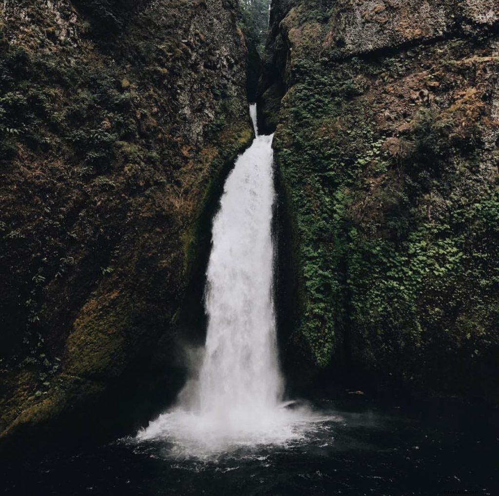Instagram Portland, Oregon :notre top 10 hebdomadaire 