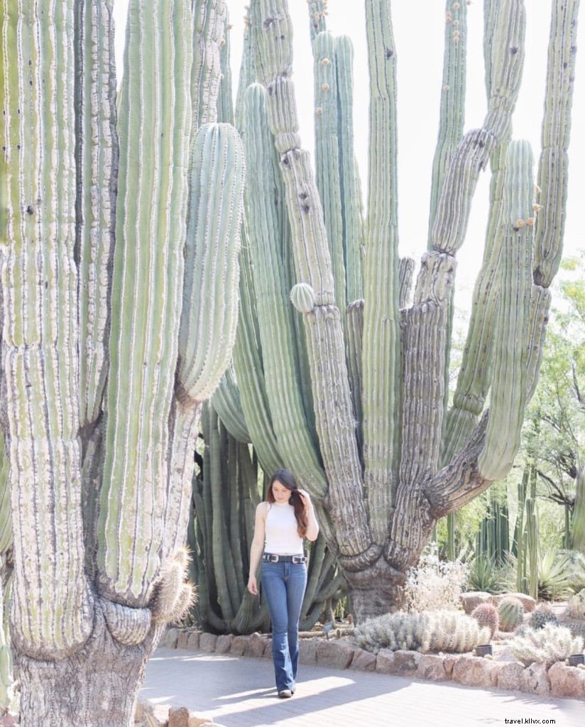 Fenice di Instagram, Arizona:la nostra Top 10 settimanale 