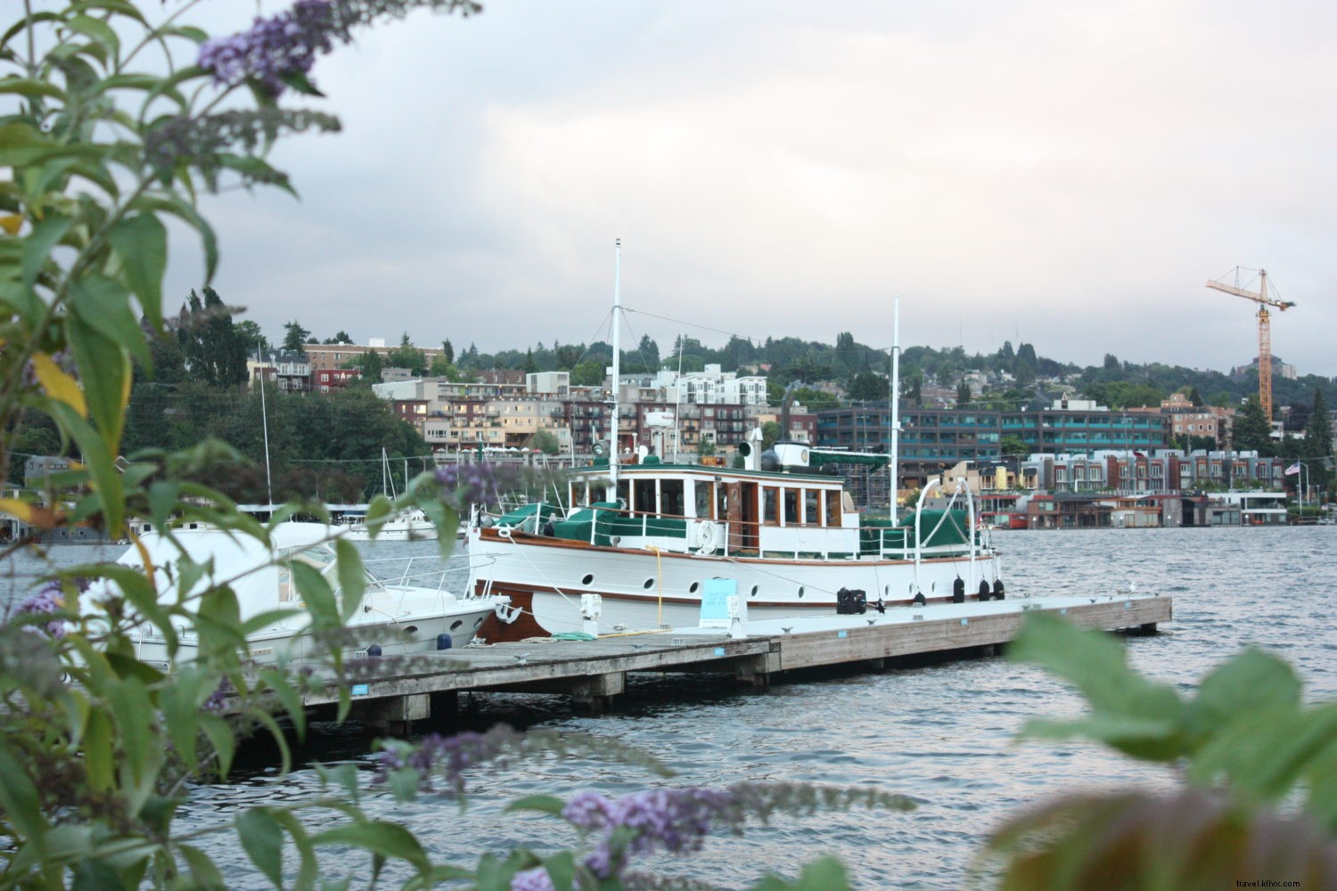 Chelsea Lankford:favoritos locais, Seattle 