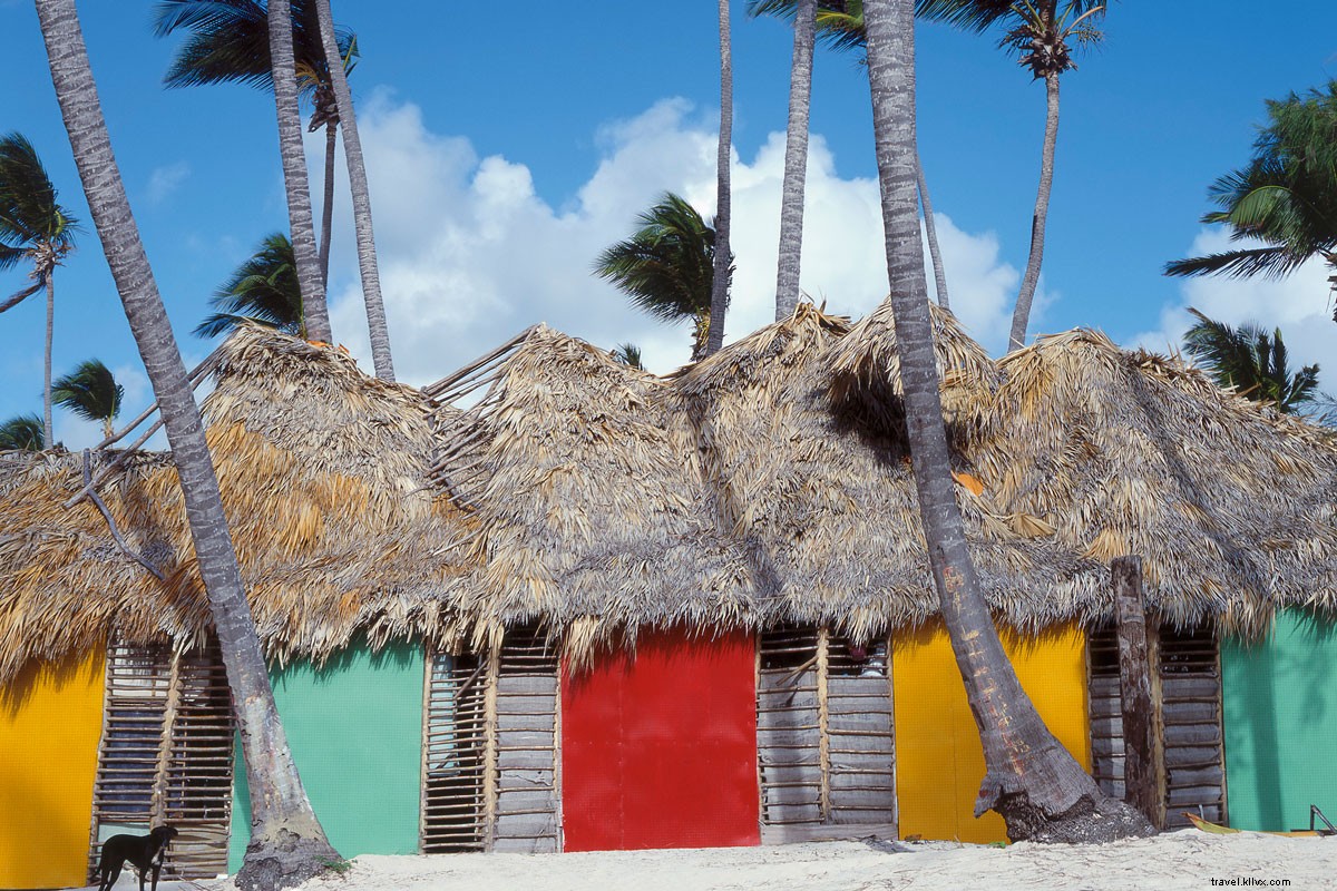 3 excursiones imprescindibles en Punta Cana 