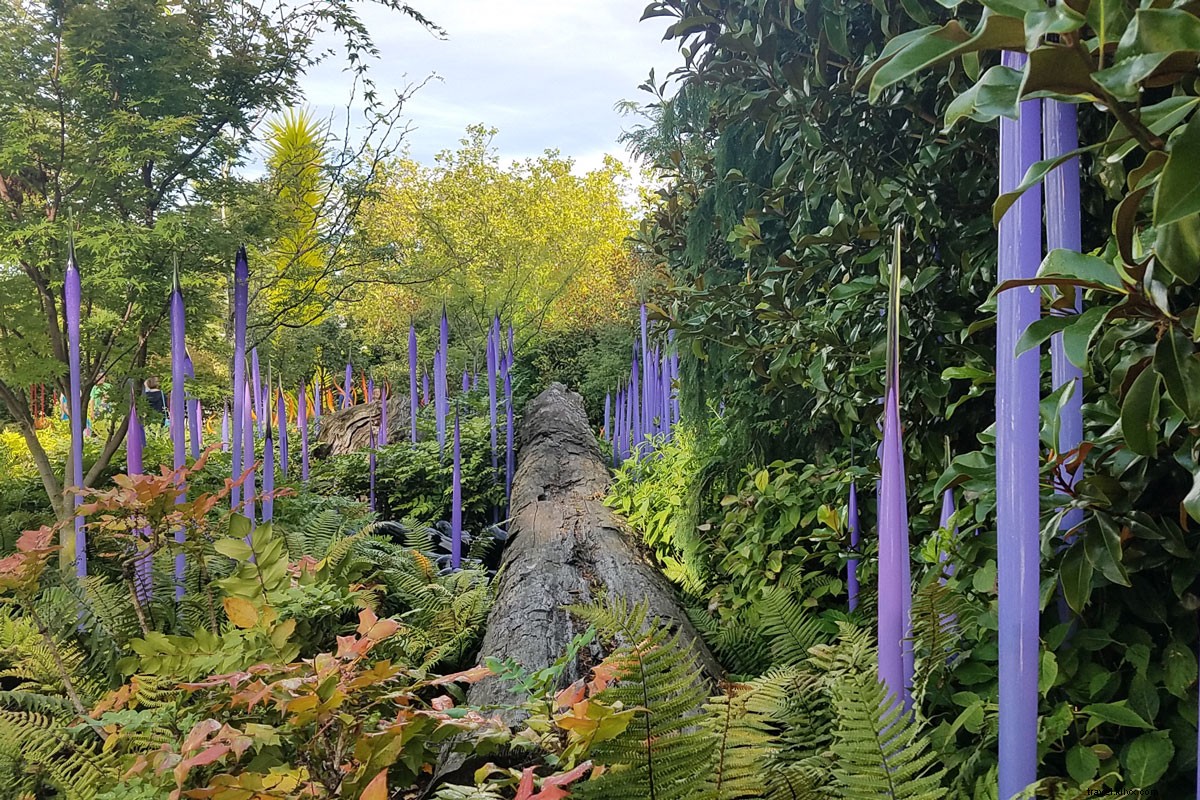 5 raisons pour lesquelles le jardin Chihuly de Seattle vous mettra sur une autre planète 