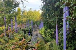 5 motivi per cui il Chihuly Garden di Seattle ti porterà su un altro pianeta 