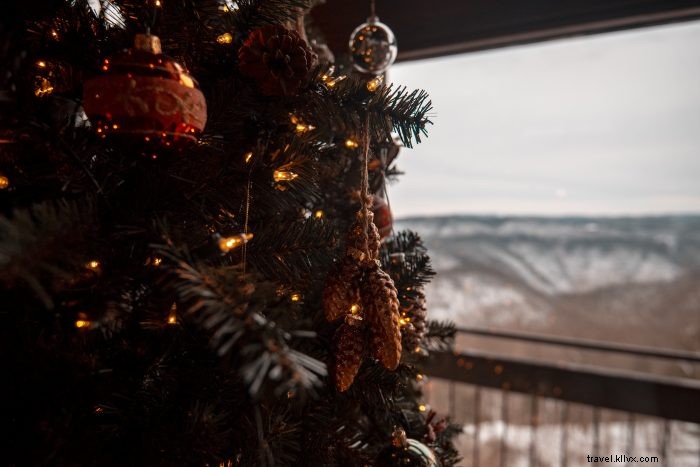 Temukan Pohon Natal yang sempurna di 4 Peternakan ini 