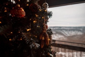 Trouvez l arbre de Noël parfait dans ces 4 fermes 