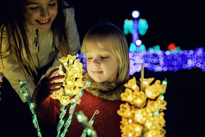 Ilumina la noche en estos mágicos festivales de luces navideñas 