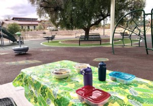 Pique-niques dans le parc à Tempe 