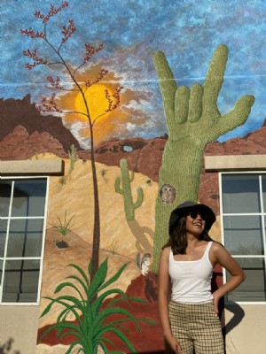 テンペの壁画、 アリゾナ 