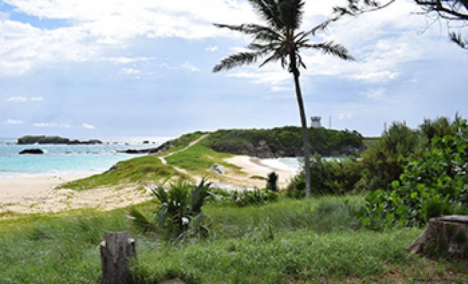 Beatitudine in spiaggia:spiagge delle Bermuda con servizi 