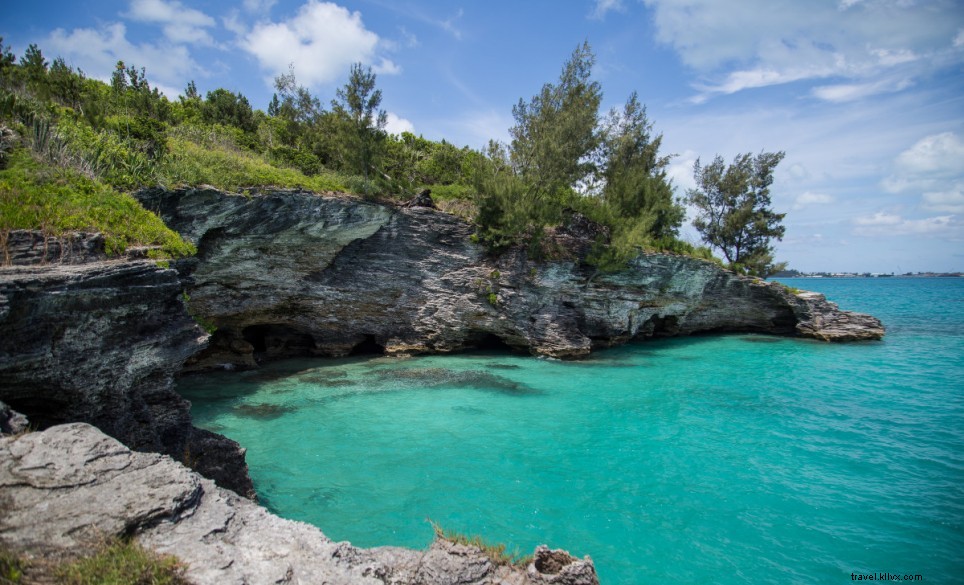 Beatitudine in spiaggia:spiagge delle Bermuda con servizi 