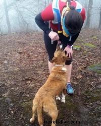 Trilhas para caminhadas para cães em Chattanooga e arredores 