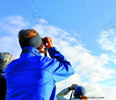 Conseils pour l observation des oiseaux sur les rives extérieures 