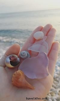 Raro OBX Sea Glass 