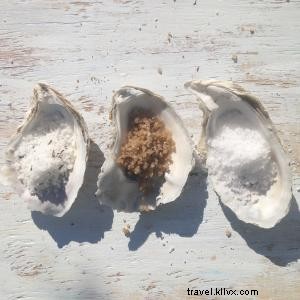 Bienfaits pour la santé du sel de mer Hatteras 