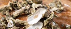 7 lugares para comprar ostras este otoño en Myrtle Beach 