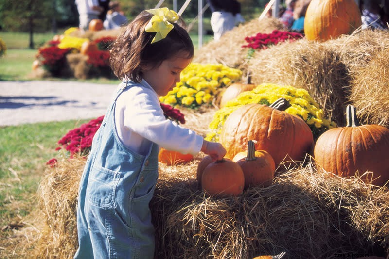 Oito atividades de outono para crianças em Myrtle Beach, Carolina do Sul 