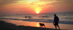 Regala al tuo animale domestico una vacanza al mare a Myrtle Beach 