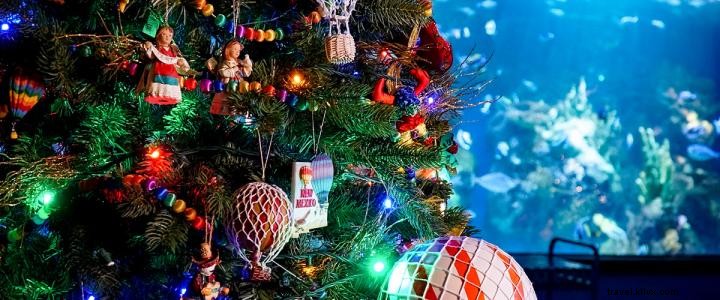 12 jours de Noël, Jour 10:Visitez le festival des arbres de Ripley 