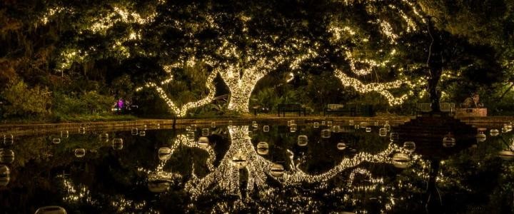 12 días de Navidad, Día 7:Noches de las mil velas en Brookgreen Garden 