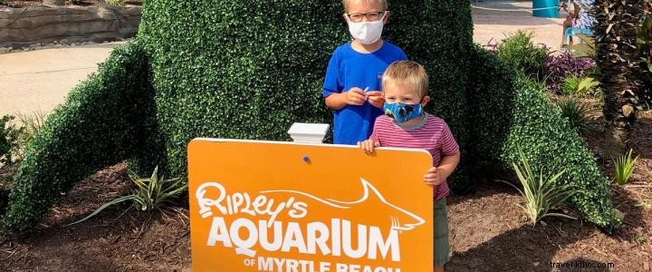 Aquário de Ripley, Rockin ’Jump oferece diversão para crianças, Aumento das medidas de segurança 