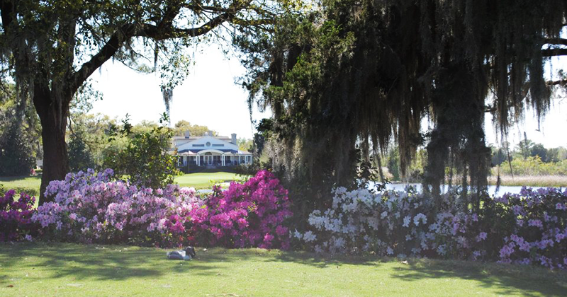 Golfweek classifica três campos de Myrtle Beach entre os 100 melhores layouts públicos da América 