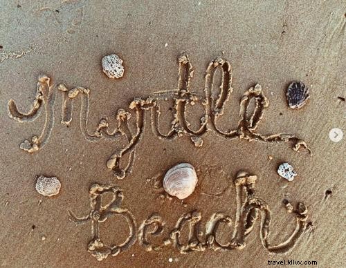 マートルビーチで夏と貝殻を祝う、 S.C. 