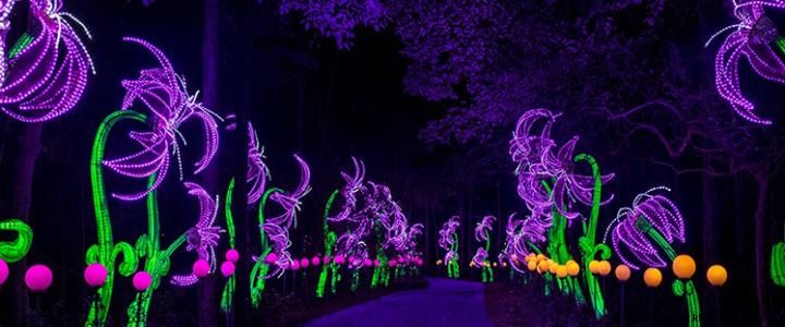 Festival das Luzes de Verão de Brookgreen Gardens em andamento 