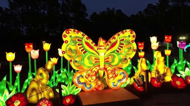 Festival de luces de verano de Brookgreen Gardens en marcha 
