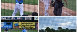 Hiburan Keluarga Selatan - Myrtle Beach Pelicans Baseball - Hari Kesenangan Keluarga! 