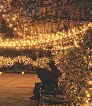 Brookgreen Gardens brilla durante esta temporada navideña 
