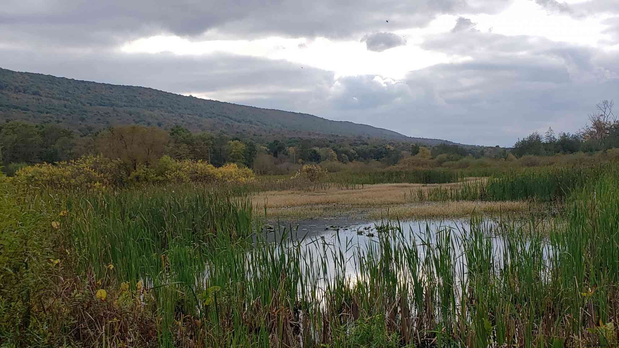 area birding yang dapat diakses mengundang pecinta alam ke Happy Valley, PA selama migrasi musim gugur 