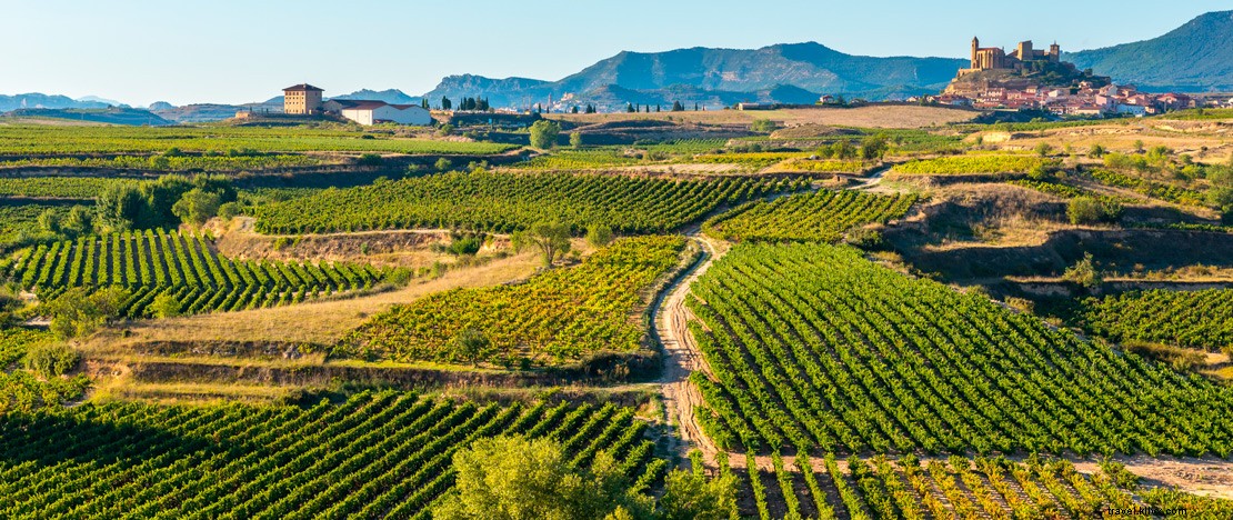 それらが作成された場所を訪問することにより、スペインワインをよりよく知るようになる 