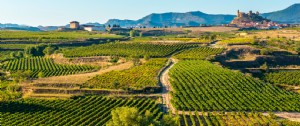 Conheça melhor os vinhos espanhóis visitando os lugares onde são criados 