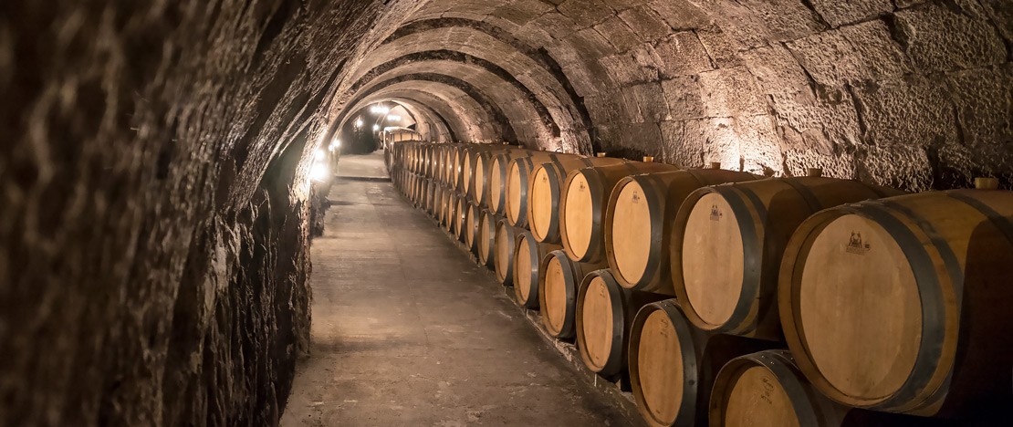 Apprenez à mieux connaître les vins espagnols en visitant les lieux où ils sont créés 