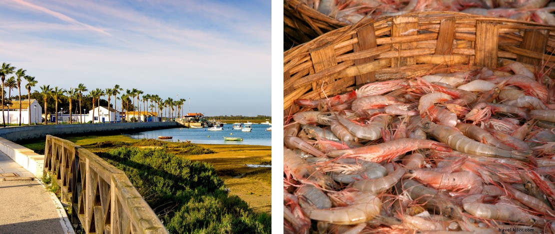 Cinco lugares de España junto al mar, donde se puede disfrutar de la gastronomía local 