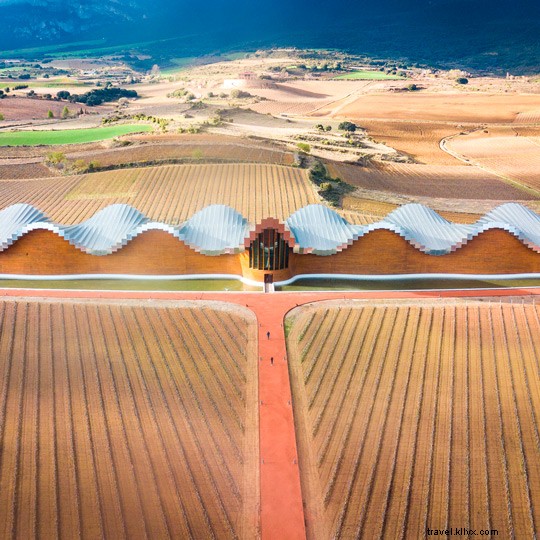 スペイン、 世界で最もブドウ園が多い国 