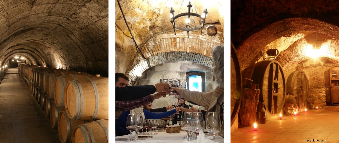 ワインとカスティーリャイレオン：この地域の何世紀も前のワイナリーのツアー 