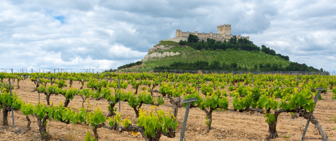 Vini e Castilla y León:un tour delle cantine secolari della regione 
