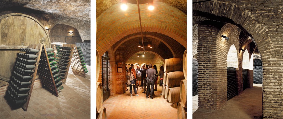 ワインとカスティーリャイレオン：この地域の何世紀も前のワイナリーのツアー 