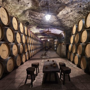 Planeje sua viagem para Castilla-La Mancha com base em seus vinhos 