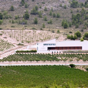 Mencicipi anggur di kilang anggur Costa Blanca 