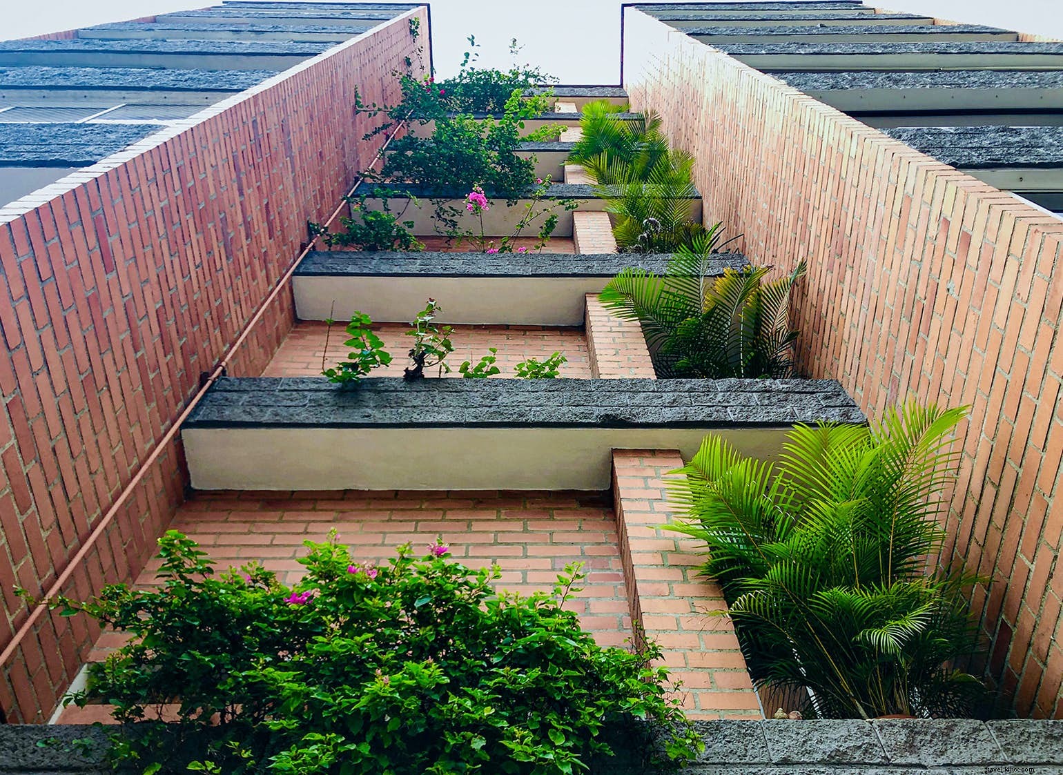 Laureles:pusat budaya di bawah radar Medellín 