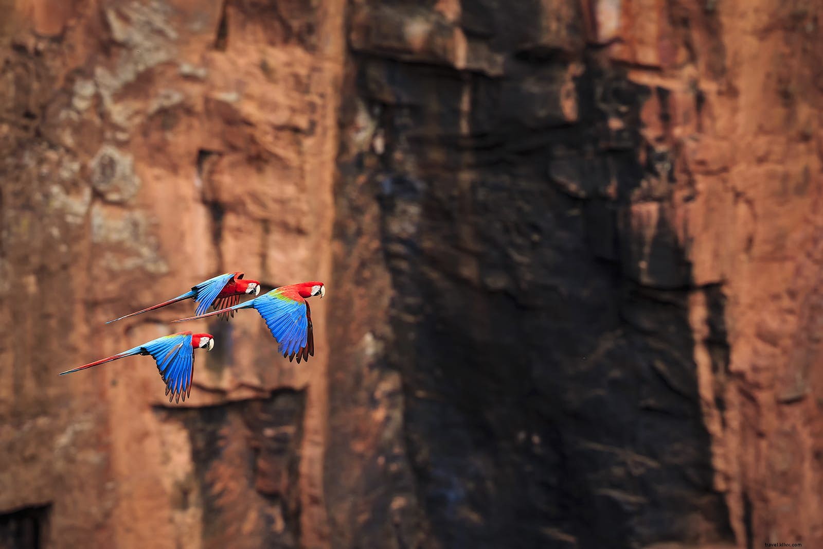 Selami petualangan akuatik Bonito 