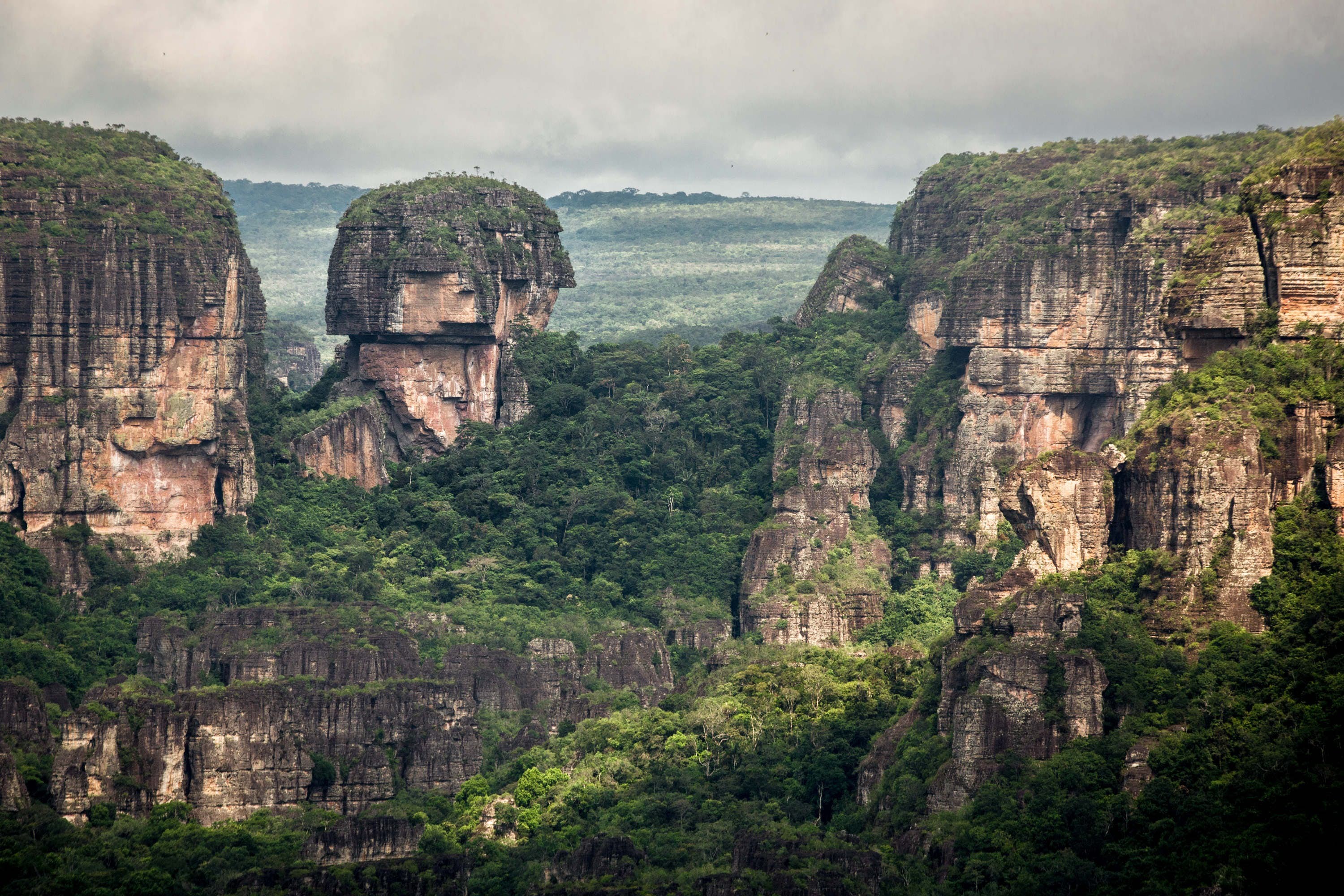 コロンビアには現在、世界最大の熱帯雨林国立公園があります 