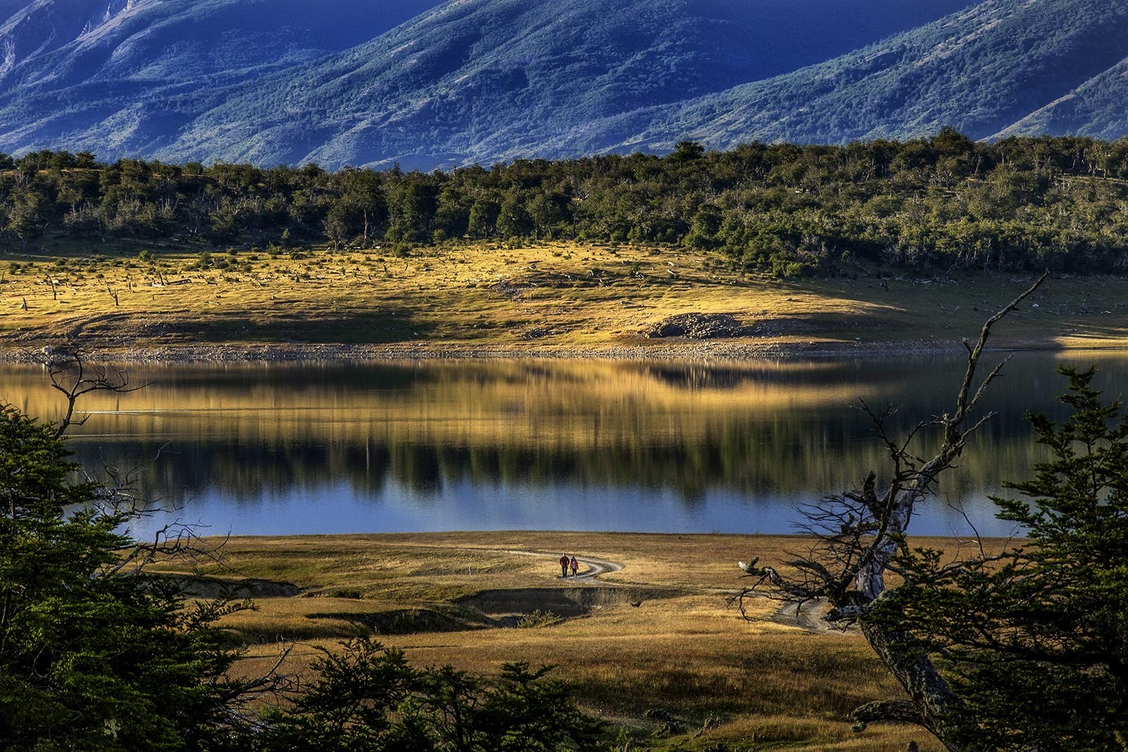 Hindari kebisingan dengan pengalaman alternatif terbaik Patagonia