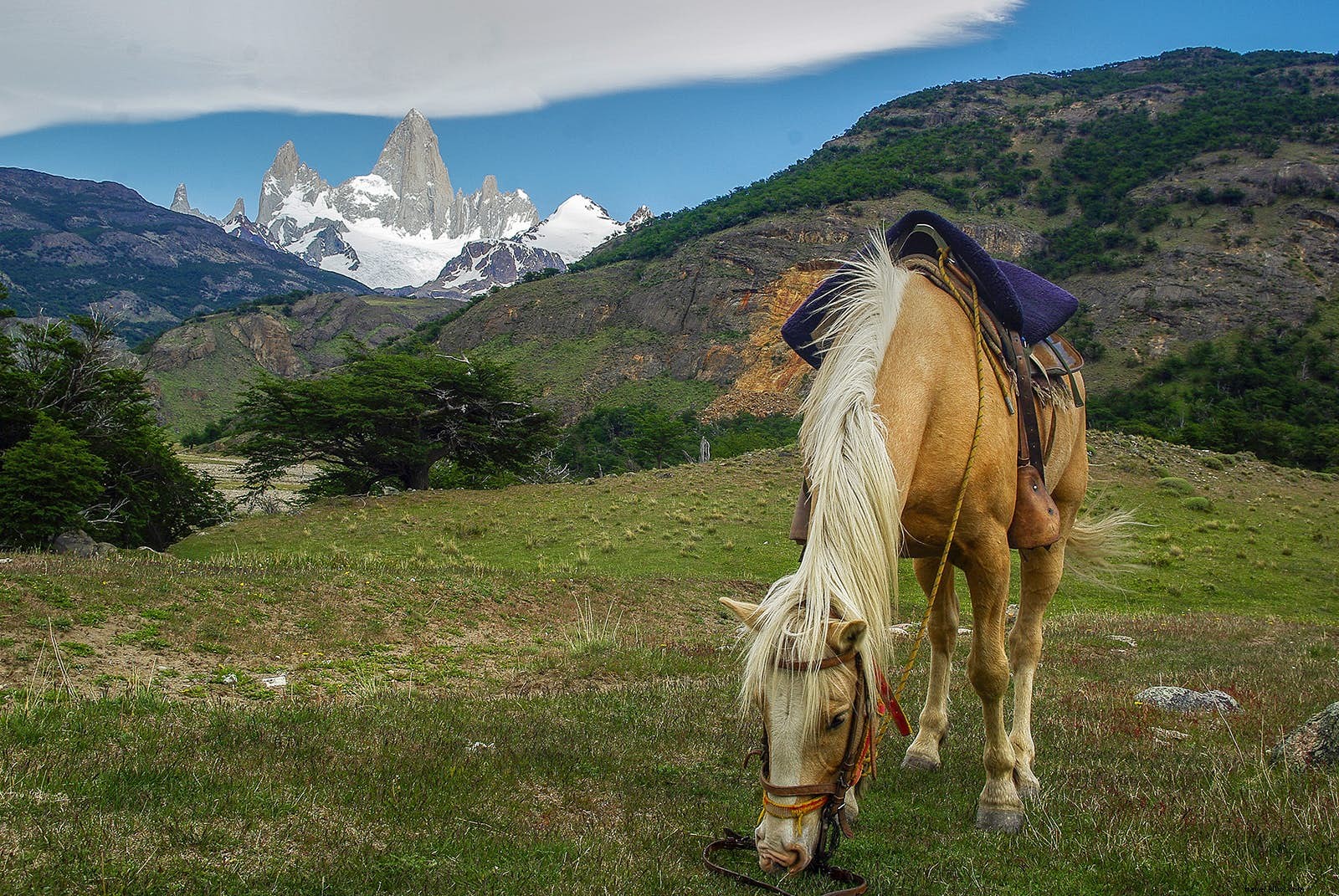 Hindari kebisingan dengan pengalaman alternatif terbaik Patagonia