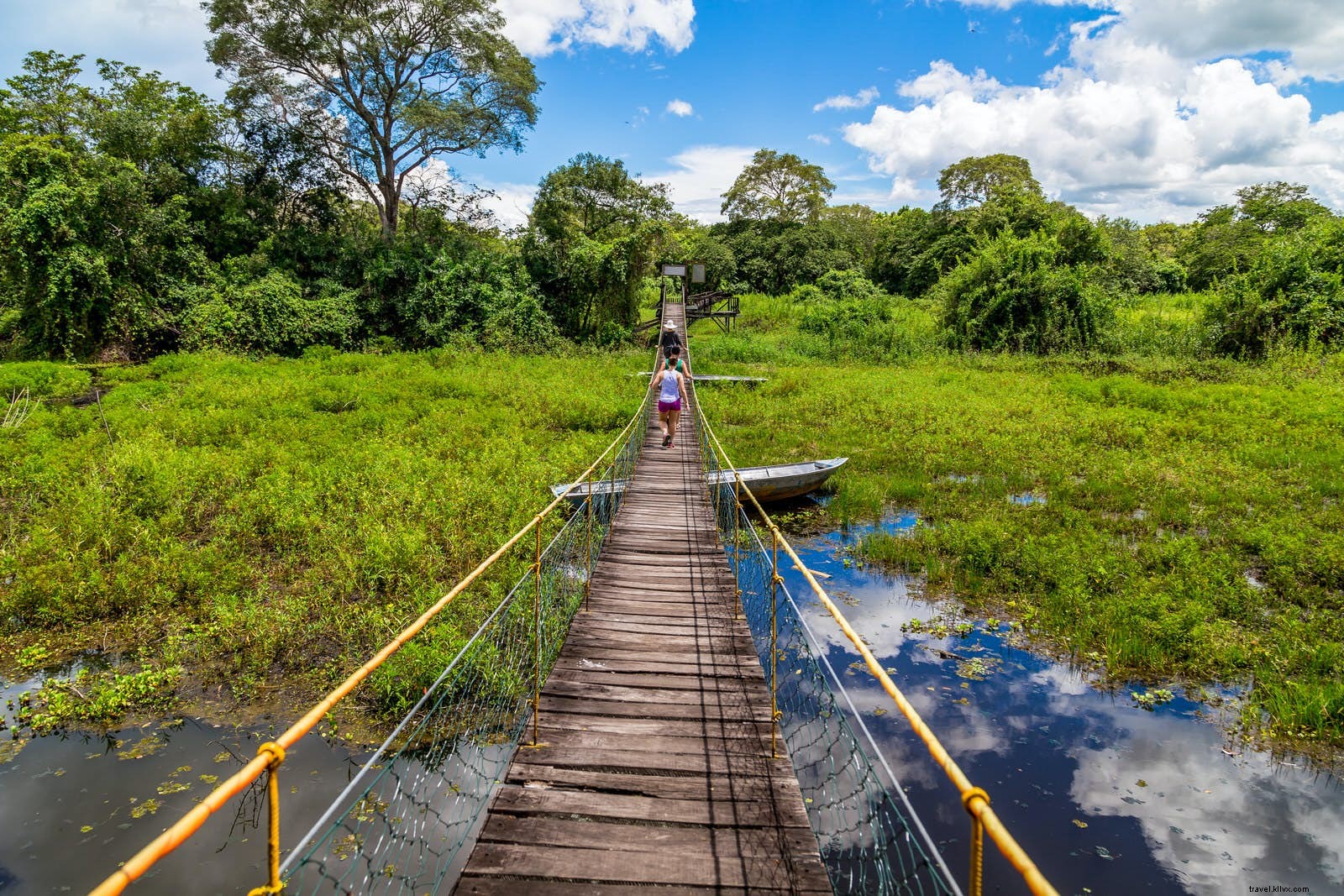 Il paese delle meraviglie della fauna selvatica:organizza il tuo viaggio nel Pantanal 
