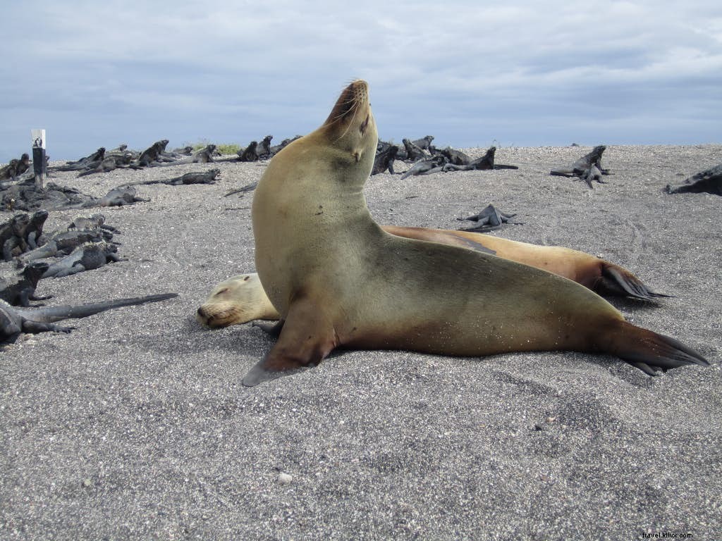 Imperdible América del Sur 
