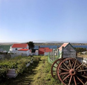 5 passi intorno alle Isole Falkland 