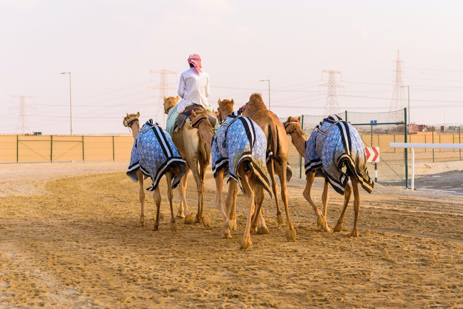 29 hal gratis yang dapat dilakukan di Abu Dhabi