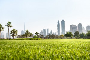 Où faire une promenade hivernale à Dubaï 